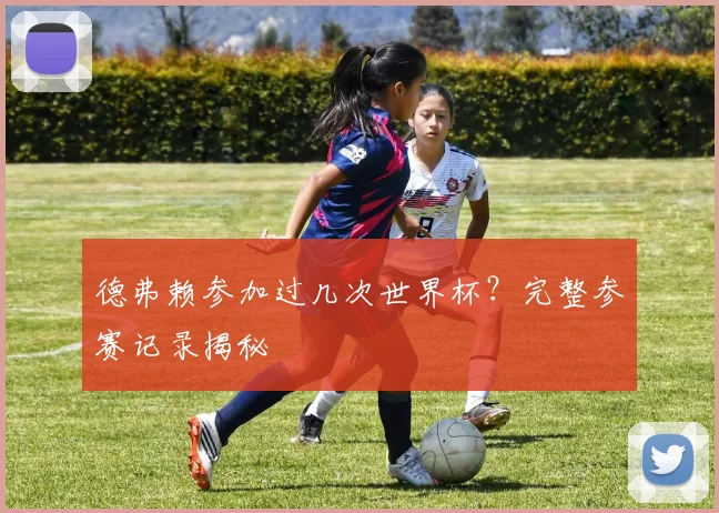 德弗赖参加过几次世界杯？完整参赛记录揭秘