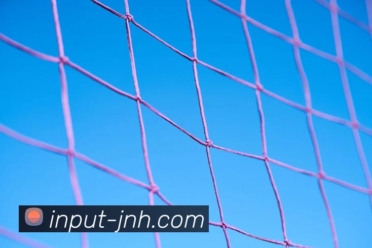 金年会体育APP 高清赛事图